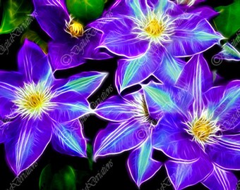 Purple Clematis, Fractalius Flower  Print, Flower Photography, Botanical Print,Abstract Art Print, Floral Photograph, Floral Art Print