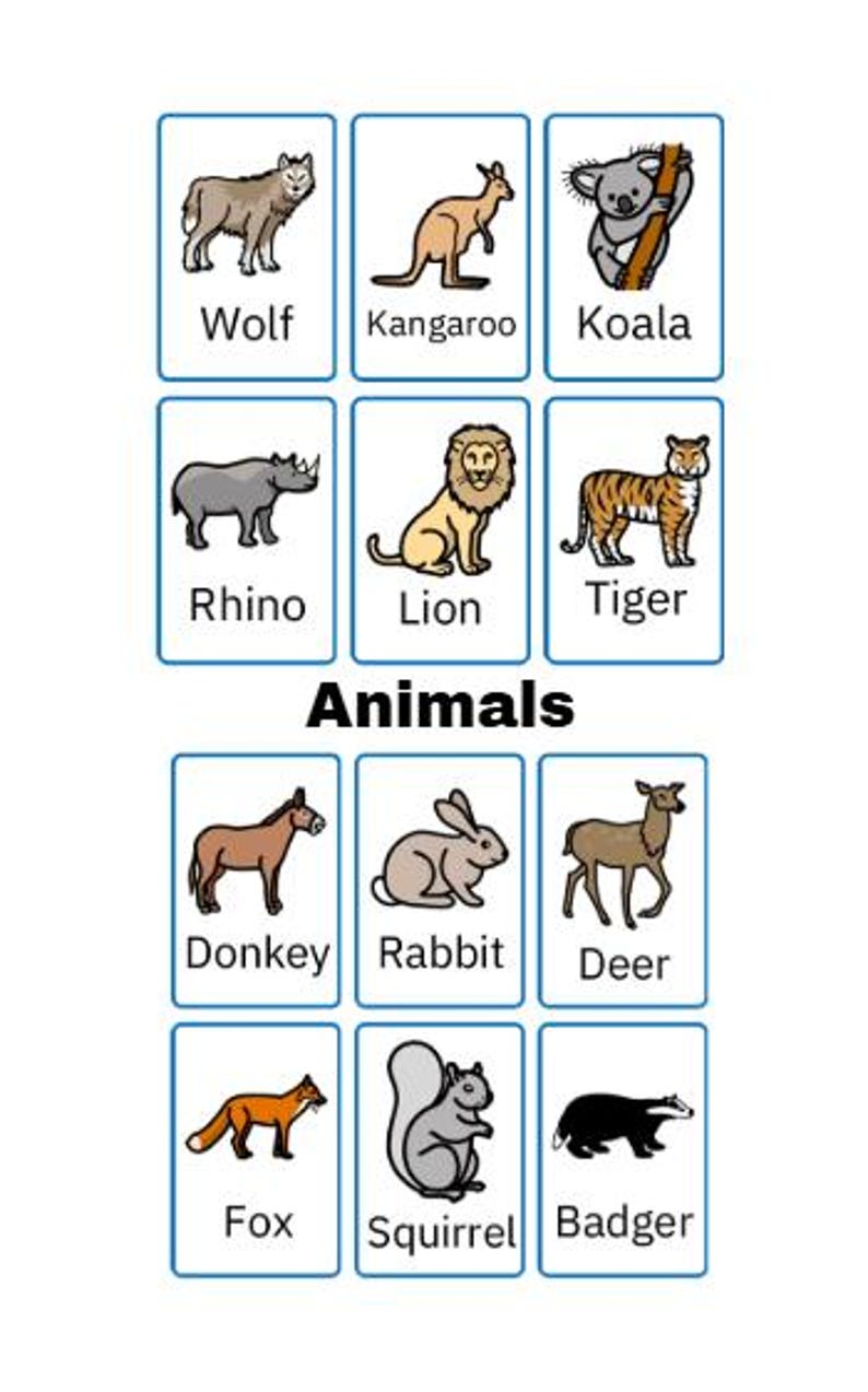 May include: A set of animal flashcards with illustrations of a wolf, kangaroo, koala, rhino, lion, tiger, donkey, rabbit, deer, fox, squirrel, and badger. The word "Animals" is written in the center.