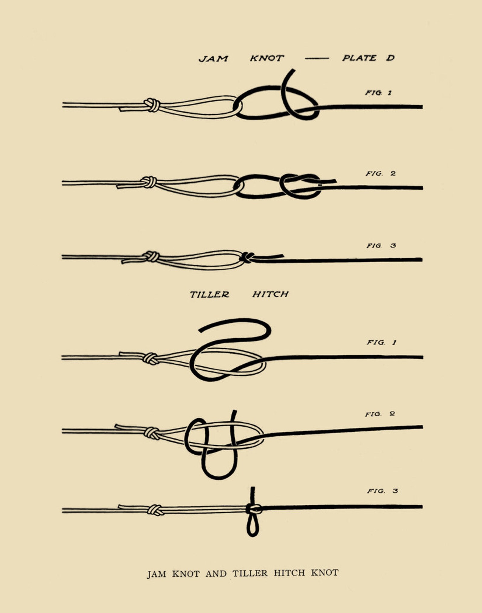 Fly Fishing Jam Knot Print Instant Digital Download for Print Etsy
