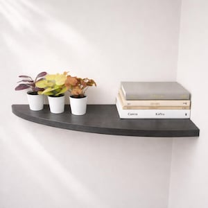 Può includere: Una mensola fluttuante semicircolare grigio scuro montata su una parete bianca. Tre piccole piante in vaso con foglie viola, gialle e arancioni sono a sinistra. Una pila di libri è a destra.