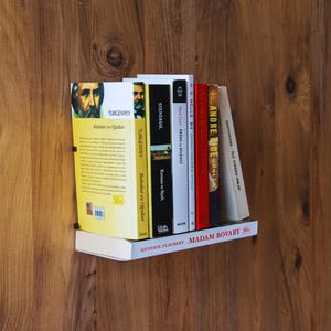 Wall Mounted Metal Invisible Bookshelf: Modern Home Decor, Nursery Bookshelf, Bookshelf for Living Room and Bedroom, Display Bookshelves.
