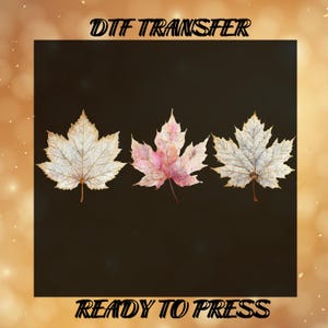 May include: Three maple leaves in a row, each with a unique color: white, pink, and white. The leaves are set against a dark background, with the text "DTF TRANSFER" and "READY TO PRESS" in a decorative font.