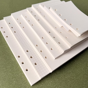 Può includere: Una pila di fogli di ricarica per agenda color bianco sporco di varie dimensioni, ciascuno caratterizzato da una serie di fori circolari punzonati lungo un bordo. La carta include pagine a quadretti e bianche, disposte in una formazione a cascata.