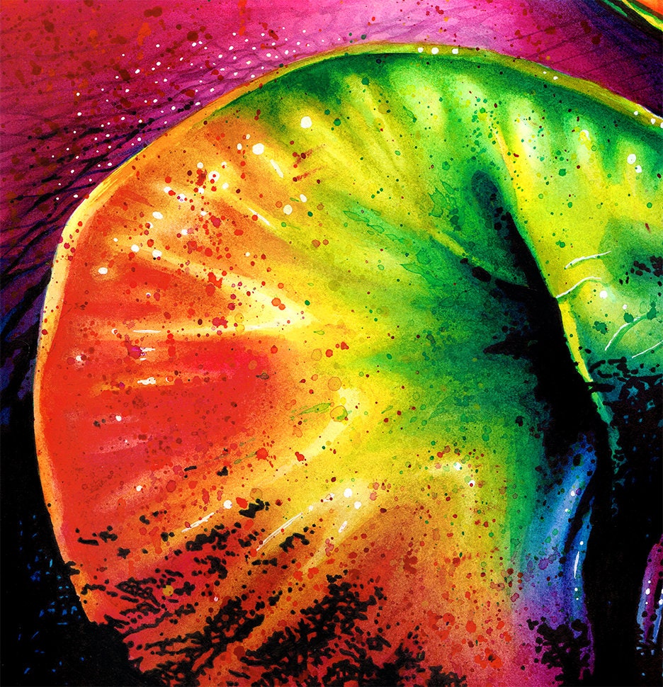 オリジナル 11 x 14 インチ 水彩画 | 象 | カラフルなレインボー