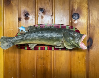 Really Big Mouth Bass - Etsy