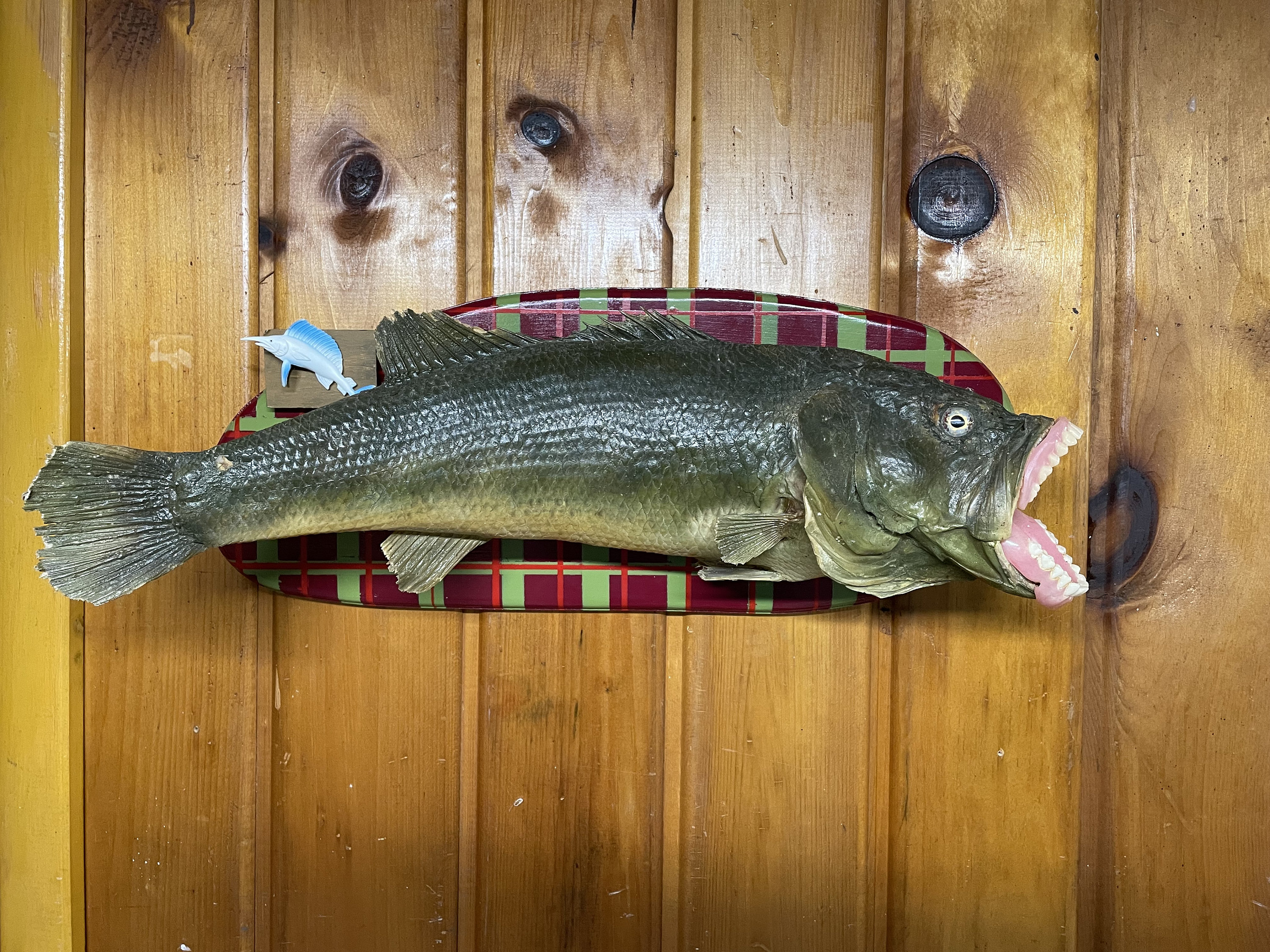 Really Big Mouth Bass - Etsy