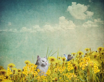 Canvas Print "Cat Life"