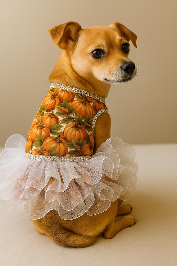 fall dog dresses Holiday Dog Harness Dress main image 0