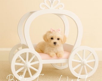 Puede incluir: Un perro pequeño y esponjoso con un lazo rosa está sentado dentro de una cama para mascotas blanca con forma de carruaje. La cama tiene ruedas grandes y una corona decorativa. El texto "Bella's Fancy Wardrobe" está escrito en cursiva en la parte inferior.