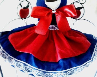 Simply Precious Doggie Dress
