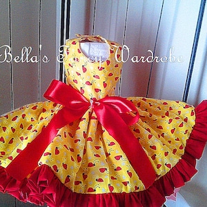 Adorable Little Miss Ladybug Doggie Dress
