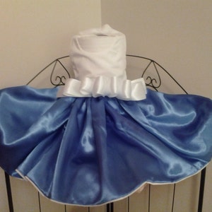 Powder Blue Satin Dog Dress: White Bodice, Bow Detail (Size Small)