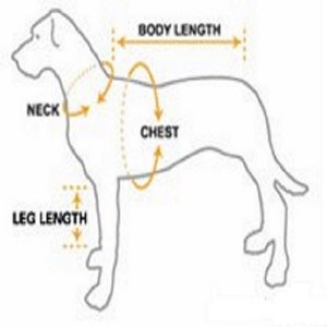 May include: Diagram showing how to measure a dog for a clothing item. The diagram shows a dog with lines indicating where to measure the neck, chest, body length, and leg length.