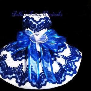 Victorian Dog Wedding Dress: Blue Lace Couture Dog Outfit
