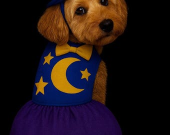 Halloween Sorcerer-Wizard Dog Costume