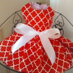 Dainty Little Red & White Doggie Dress Sizes