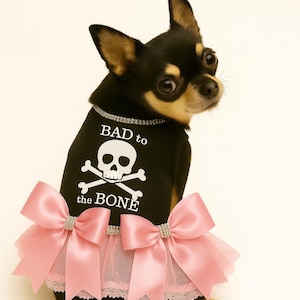Bad to the Bone Skull & Crossbones Harness Vest