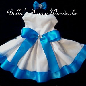White & Turquoise Dog Dress: Velcro Closure, Occasion Apparel
