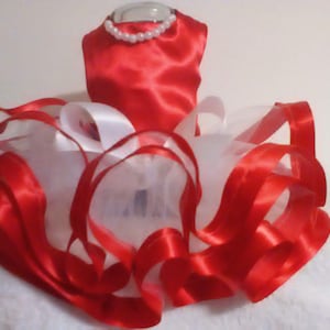 Fancy Red Tutu Doggy Dress