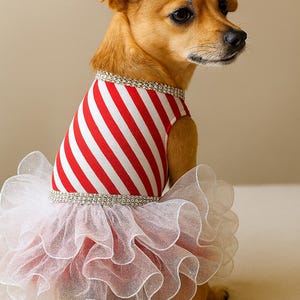 Weihnachten Pfefferminz Streifen Hund Tutu