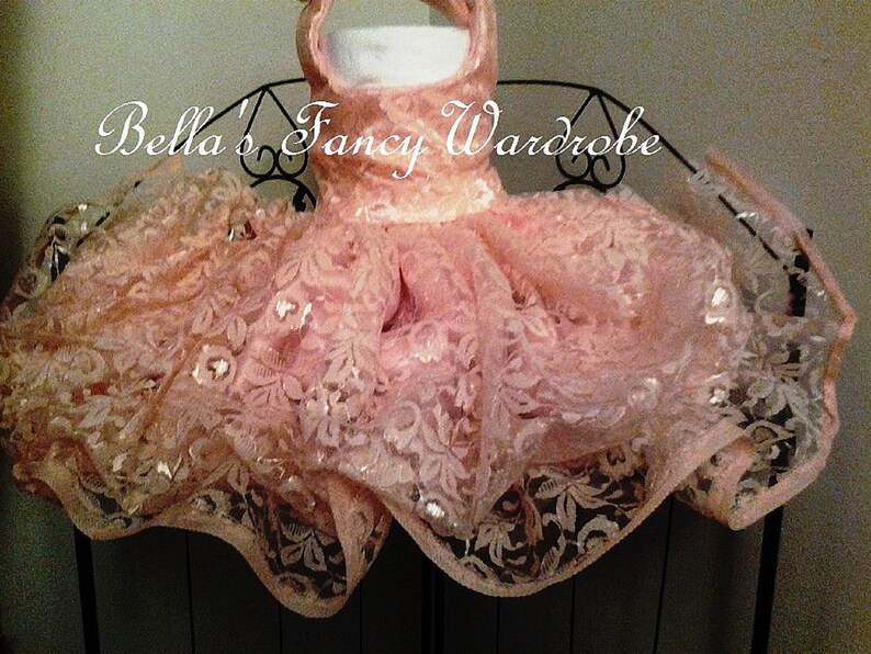 Peach Dog Dress Lace Dog Dress Wedding Dog Dress Dog Etsy