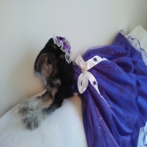 FLAdorepet Hundekleid Rosa Mit Tüllrock & Schleife – Für Partys, Hochzeiten, Fotoshootings