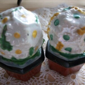 Flower Pot Salt and Pepper Shakers - Vintage, Collectible