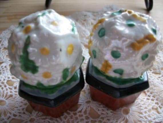Flower Pot Salt and Pepper Shakers - Vintage, Collectible