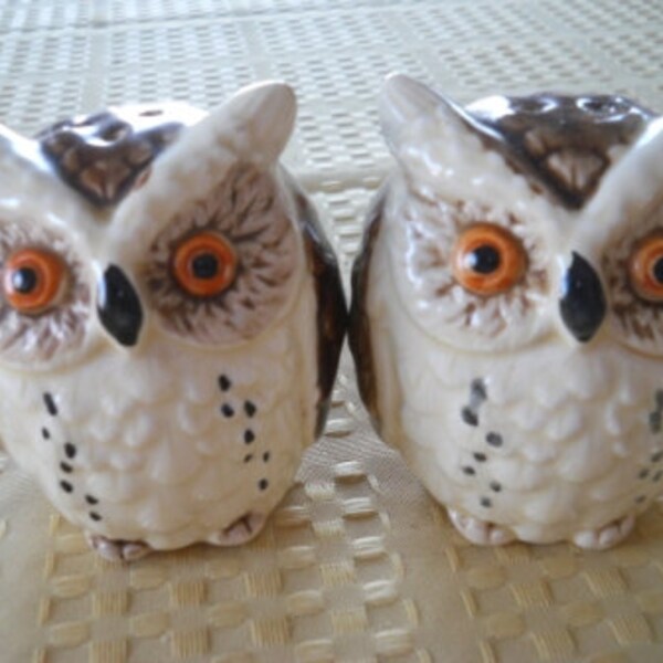 Wide-eyed owl salt and pepper shakers - vintage, Collectible