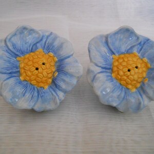 Blu Fiore Sale e Pepe Shakers - vintage, da collezione, fiori