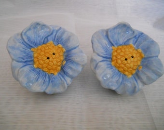 Blue Flower Salt and Pepper Shakers - vintage, collectible, flowers