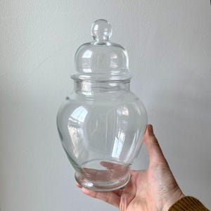 May include: A clear glass apothecary jar with a rounded body and a domed lid. The jar is held in a hand, showcasing its transparent nature and the light reflecting off its surface. The jar is designed for storage or display.