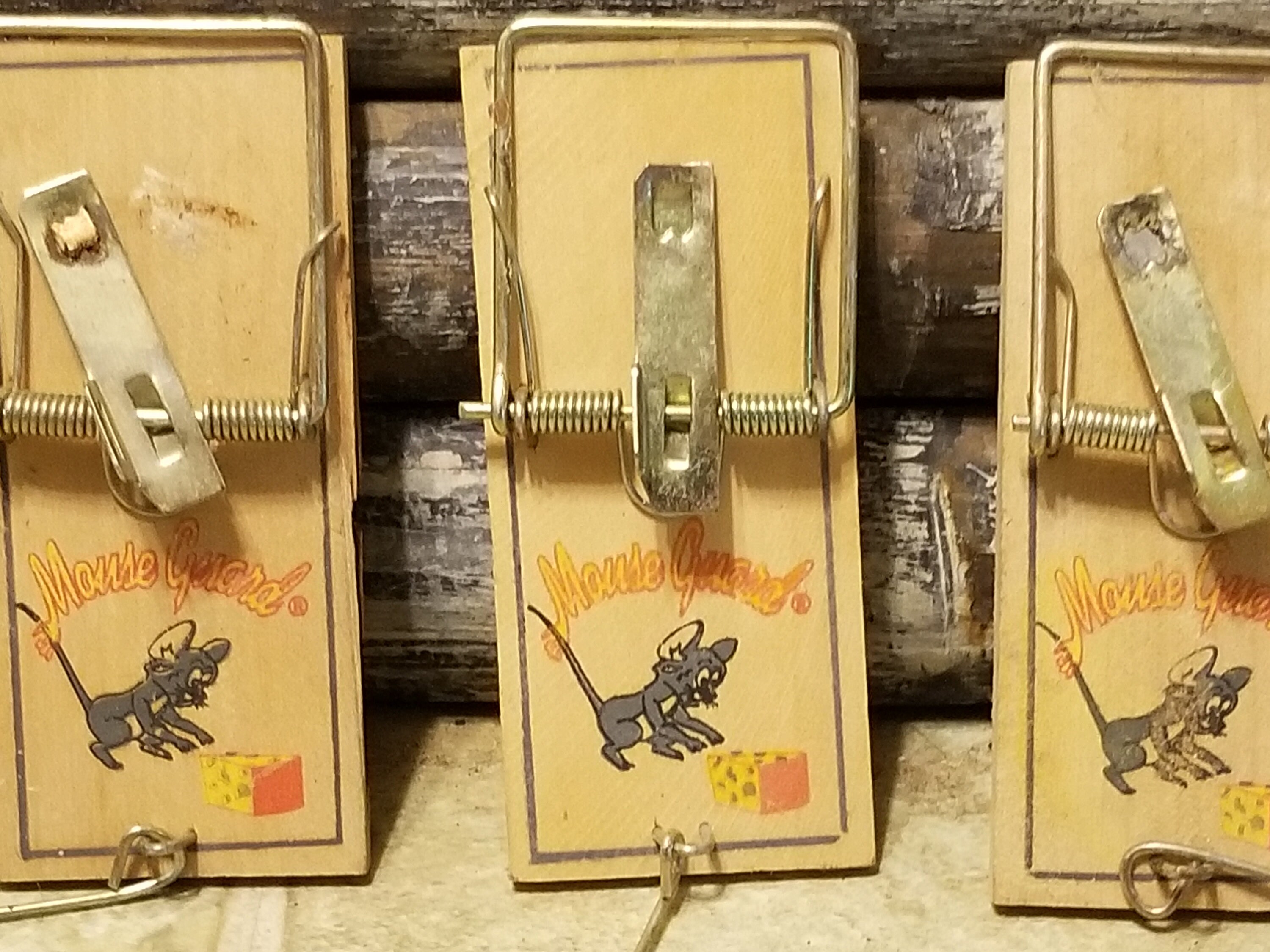 Mouse guard mousetrap outlet