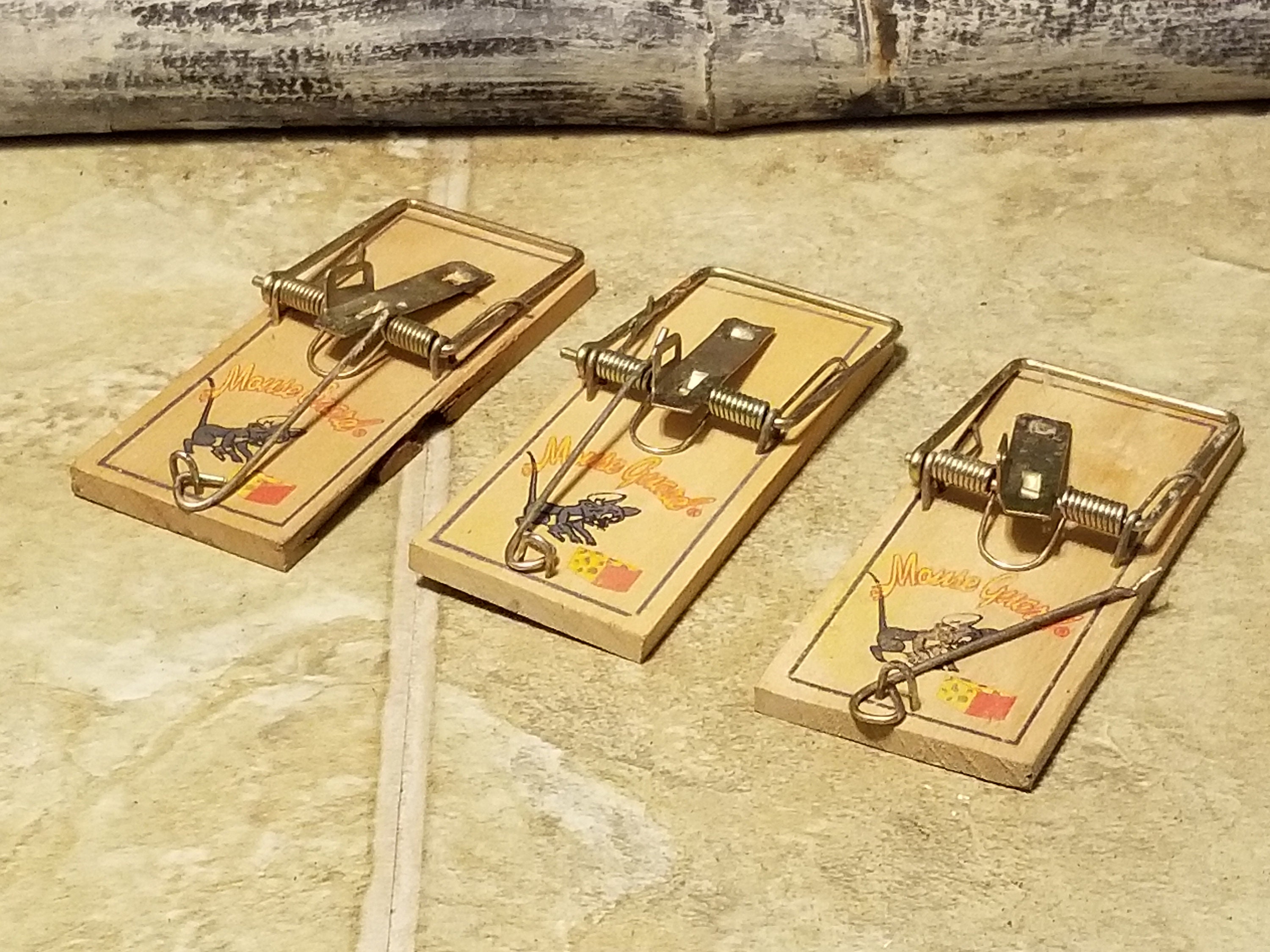 Mouse guard trap outlet