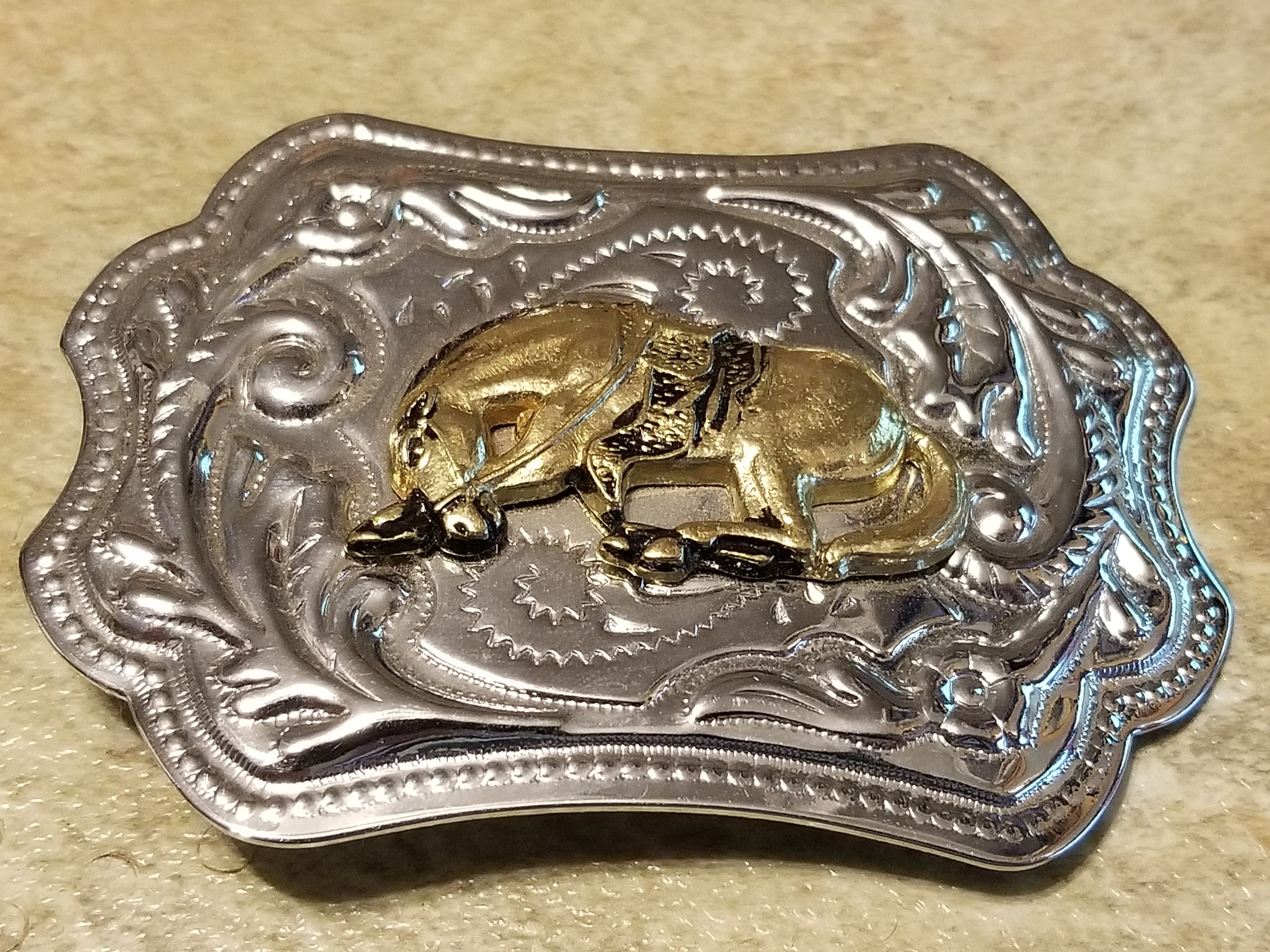 Western belt buckle ready for your coin or stone Figural Horse head in Horseshoe 