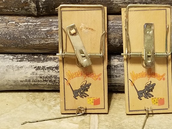 How to set a 2024 mouse guard mouse trap