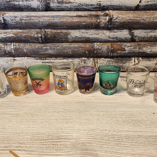 Your Choice - Vintage Shot Glass - Canada - NASA - Nashville - Wyoming - Yellowstone - South Carolina - Carnival Cruise - Item #5386