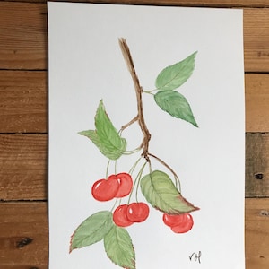 cherry blossom branch ORIGINAL WATERCOLOR