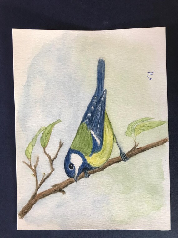 かわいいシジュウカラ、オリジナル水彩画 - Etsy 日本
