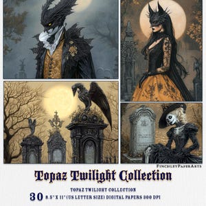 Topaz Twilight-dagboekpagina's, 8,5 x 11 inch (US Letter), direct downloaden, digitale dagboekpagina's, ongewenst dagboekpapier