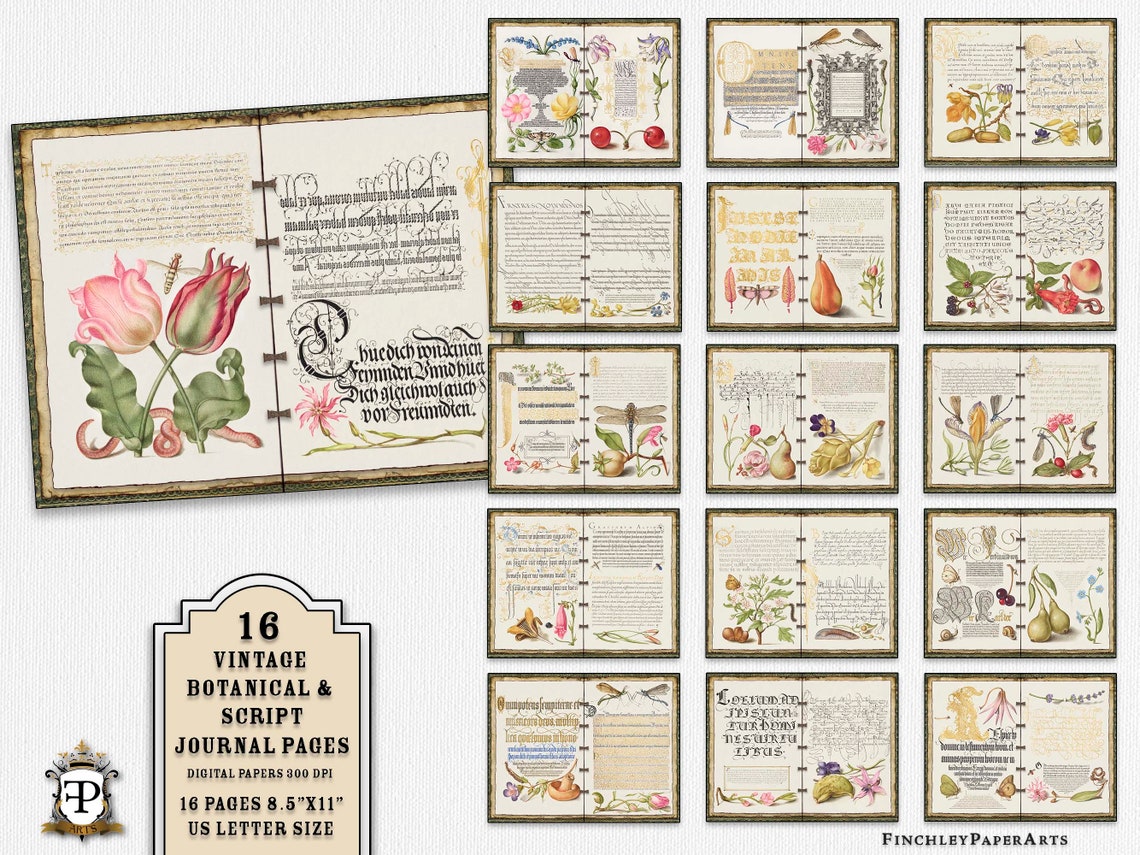 Vintage Botanical & Script Journal Pages, 11'x8.5