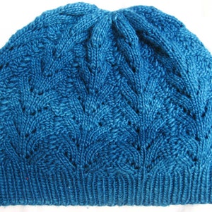 May include: A blue knitted beanie with a cable knit pattern.