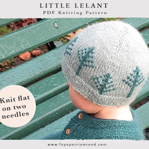 KNITTING PATTERN Little Lelant DK Hat, Preemie, Newborn Baby, Toddler, Child sizes, knit flat on two needles