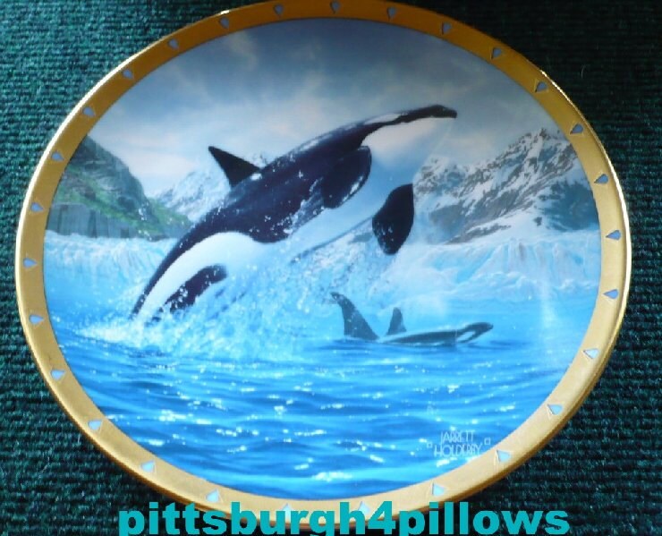 Orca Plate Jarrett Holderby Whale Conservation Plate Etsy