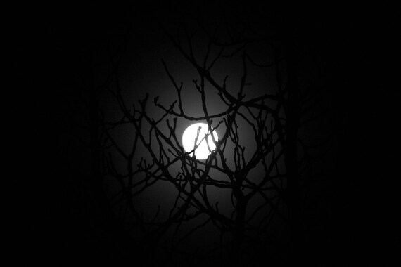 Items similar to Moon photography, black white photography, 8 x 11 ...