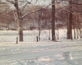 Digital Download, Vintage Photo, Snow Covered Lake and Trees, Color Photo, Snapshot, Found Photo, Old Photo, Printable Photo√