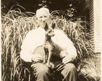 Vieil homme grincheux assis au soleil avec son animal de compagnie Chihuaha sur ses genoux Photo vintage