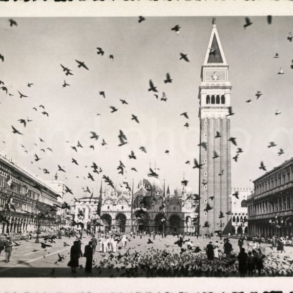 Digital Download, Venice Italy, San Marco Square, Pigeons, Vintage Photo, Black & White Photo, Printable Print, Found Photo, Snapshot√