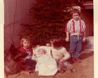 Family Photo, Brothers,  Sisters and Family Dog Watching Over Baby Brother, March 65, Vintage Photo, Color Snapshot√