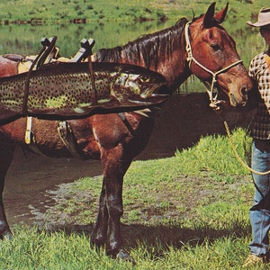 Téléchargement numérique, cow-boy kitsch humoristique avec du matériel de pêche et une énorme truite sur un cheval, carte postale photo étrange, imprimable√